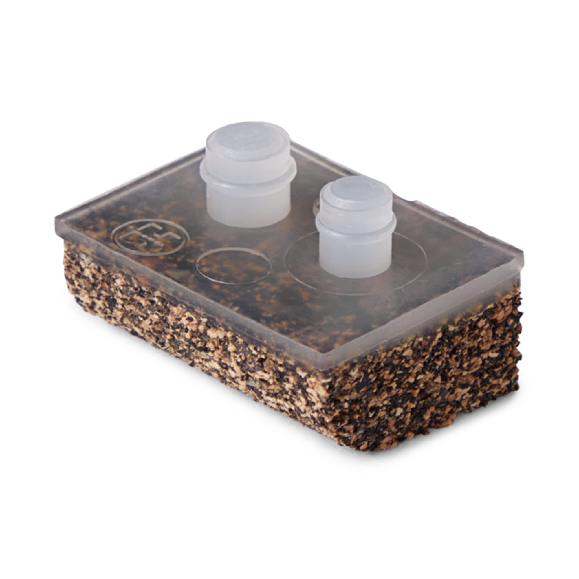 LG SHOES,VINYL-4PK,PV+/NGT (Open Line)