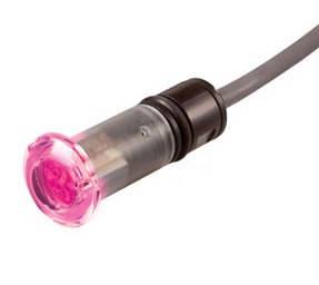 ColorLogic 80 0.5 inch LED Light, 100 ft. Cord