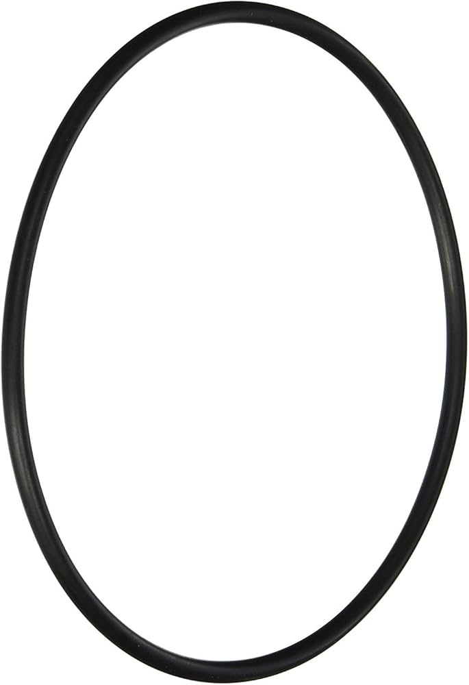 LEAF CANISTER O RING