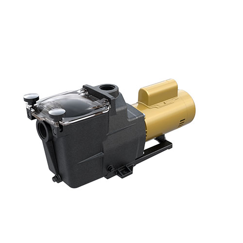 Pompe Super haute efficacité de 3/4 HP