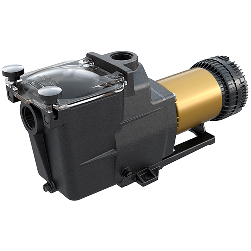 Super Pump XE Pump, 2.25HP (Open Line)